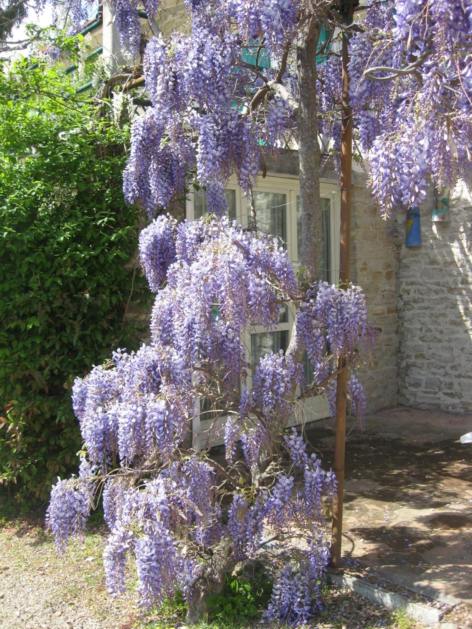 Agriturismo Cascina Serra Cossano Belbo Zewnętrze zdjęcie