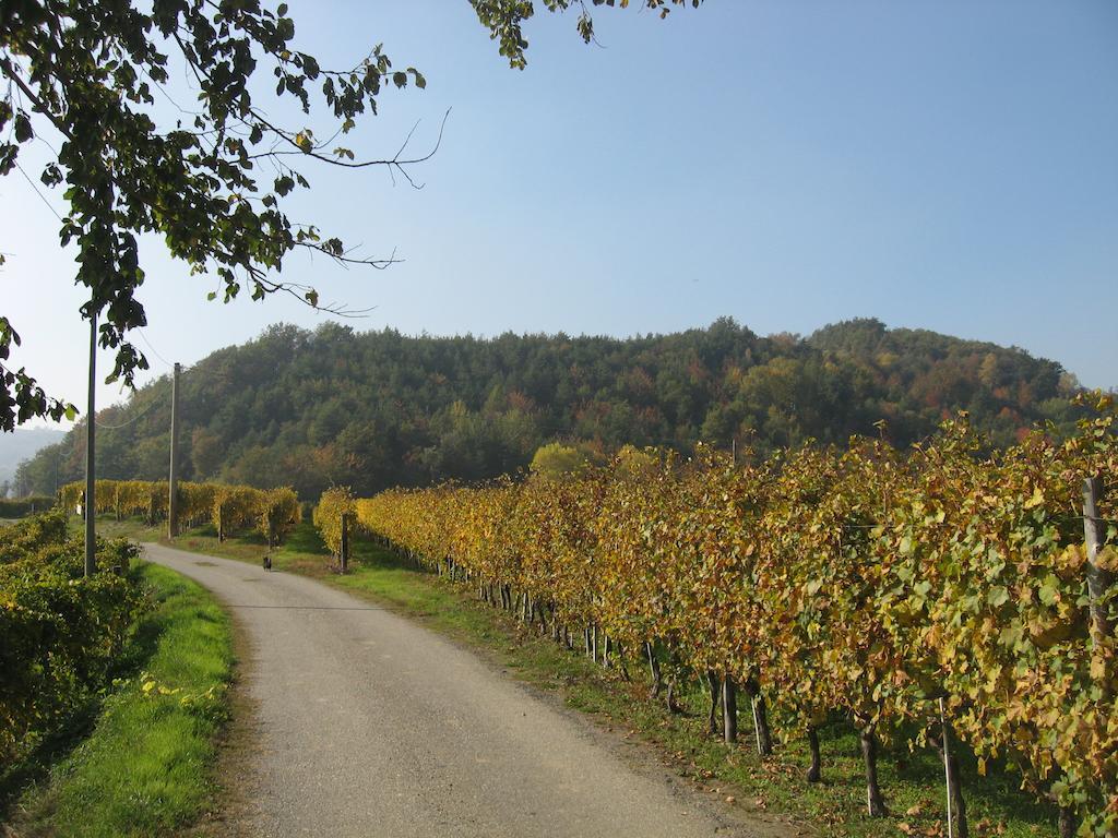 Agriturismo Cascina Serra Cossano Belbo Zewnętrze zdjęcie