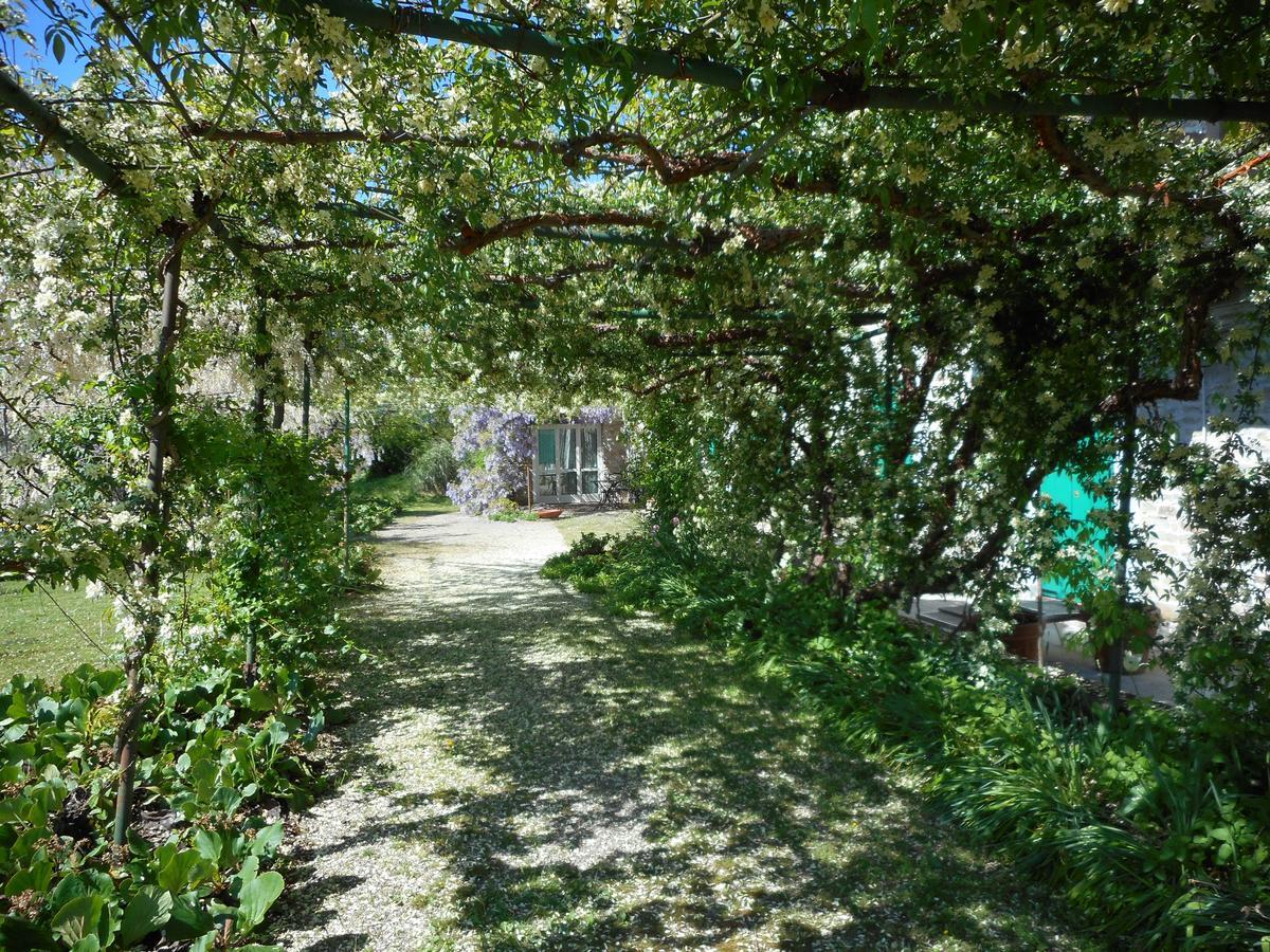 Agriturismo Cascina Serra Cossano Belbo Zewnętrze zdjęcie