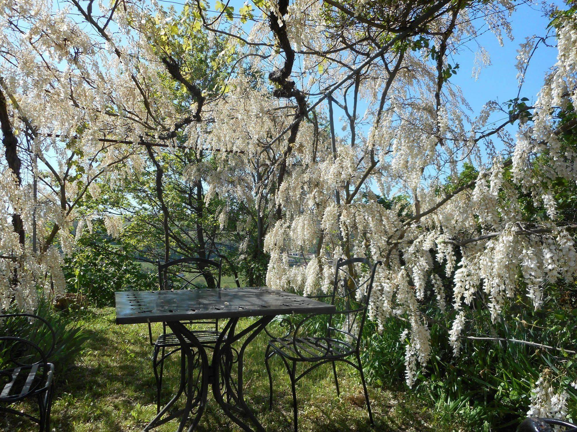 Agriturismo Cascina Serra Cossano Belbo Zewnętrze zdjęcie